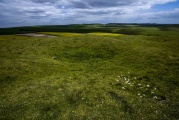 Harrow Hill Flint Mines - PID:197099