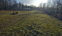 Heyshott Down Cross Dyke - PID:194961