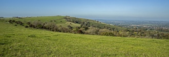 Chantry Hill Cross Dyke - PID:187155