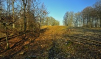 Heyshott Down Cross Dyke - PID:194963