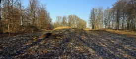 Heyshott Down Cross Dyke - PID:194964