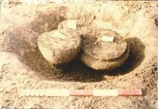 Westhampnett Iron Age Cemetery