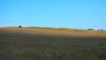 Wepham Down Earthwork - PID:213065