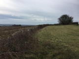 Halnaker Hill - PID:192908