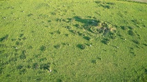Rackham Hill Earthwork and Tumuli - PID:242459