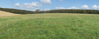 Charleston Bottom (Upper Ridge) Field System
