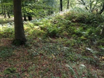 Upwaltham Hill Tumuli - PID:126432
