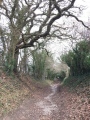 Halnaker Hill - PID:192911