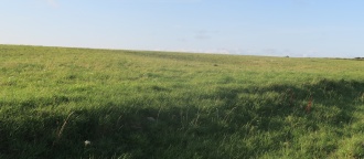 Willingdon Hill Cross Dyke