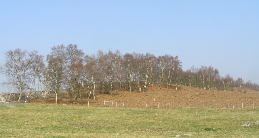Click for the gallery page to add comments and vote (PID:74995) West Heath Barrow Cemetery