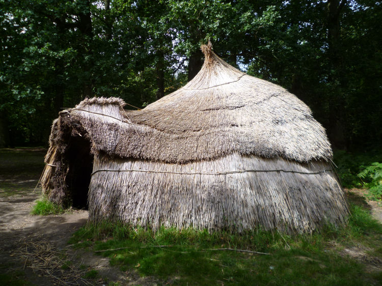 Ashdown Forest Centre