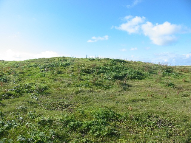 Black Robin Bottom Tumulus