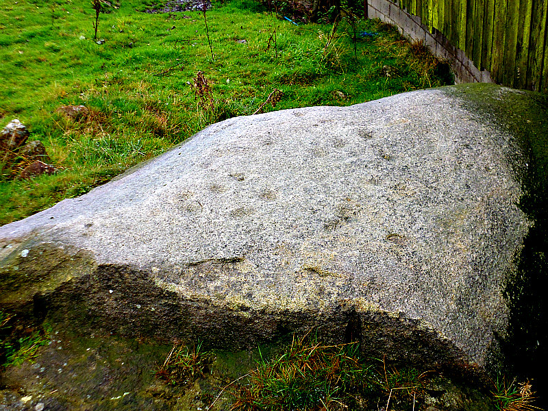 Grey Stones Farm Cup-Marked Rock