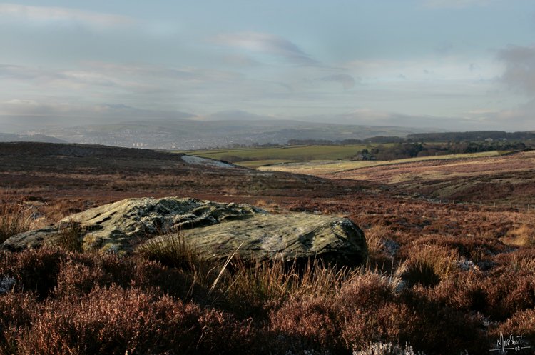 Click for the gallery page to add comments and vote (PID:44192) Fenny Shaw 01