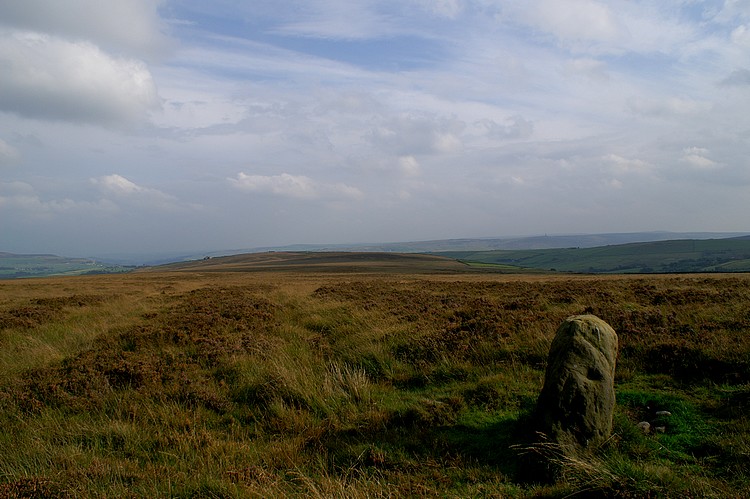 This is one of 3 monoliths you can still see around the Hill, this particular stone stands about 4ft. Just to the left of the stone there seems to be an old track way, with possible ditches on either side. 
It’s not entirely clear which epoch these stones belong to, although one is said to be medieval (Reaps Cross) & has an association with an old corpse route.
Oodles of lithics & a few cup ma