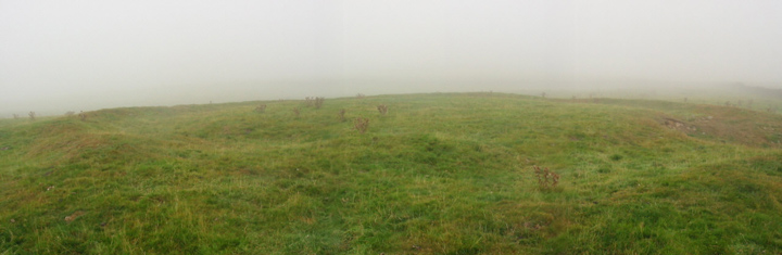 Yarnbury Henge