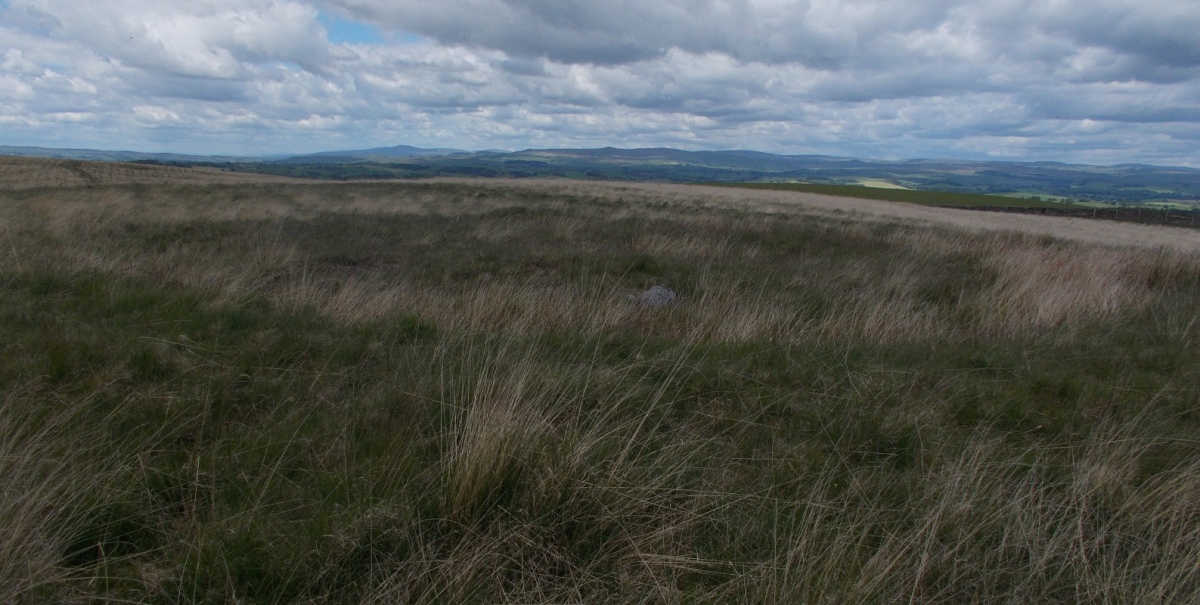 Click for the gallery page to add comments and vote (PID:242227) Hare Hill ring cairn