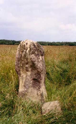 The Bull Stone, Otley Chevin (near Ilkley)

Standing six feet tall and reported to be nine feet in girth at it's widest point, resplendent in it's pastoral home! A Roman road skirts it's flanks apparently, but it's pretty hard to discern.                          
Paul Bennet wrote that the most likely meaning of it's name came from 'bull-steean'; a stone for sharpening