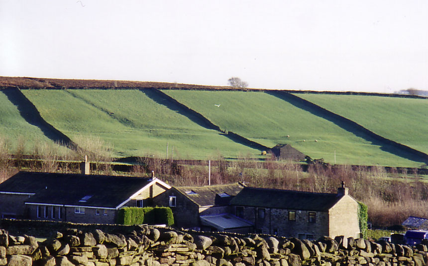 Catstones Ring