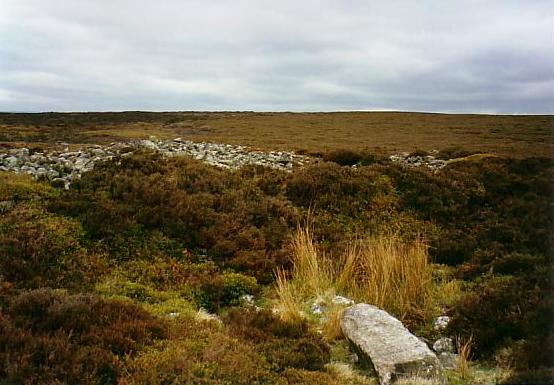 Great Skirtful of Stones