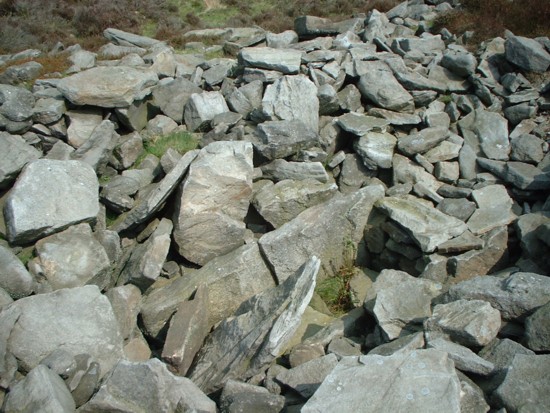 Bradley Long Cairn