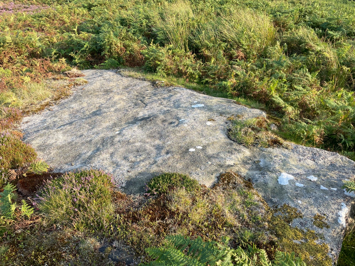 Click for the gallery page to add comments and vote (PID:275994) Doubler Stones Allotment 04