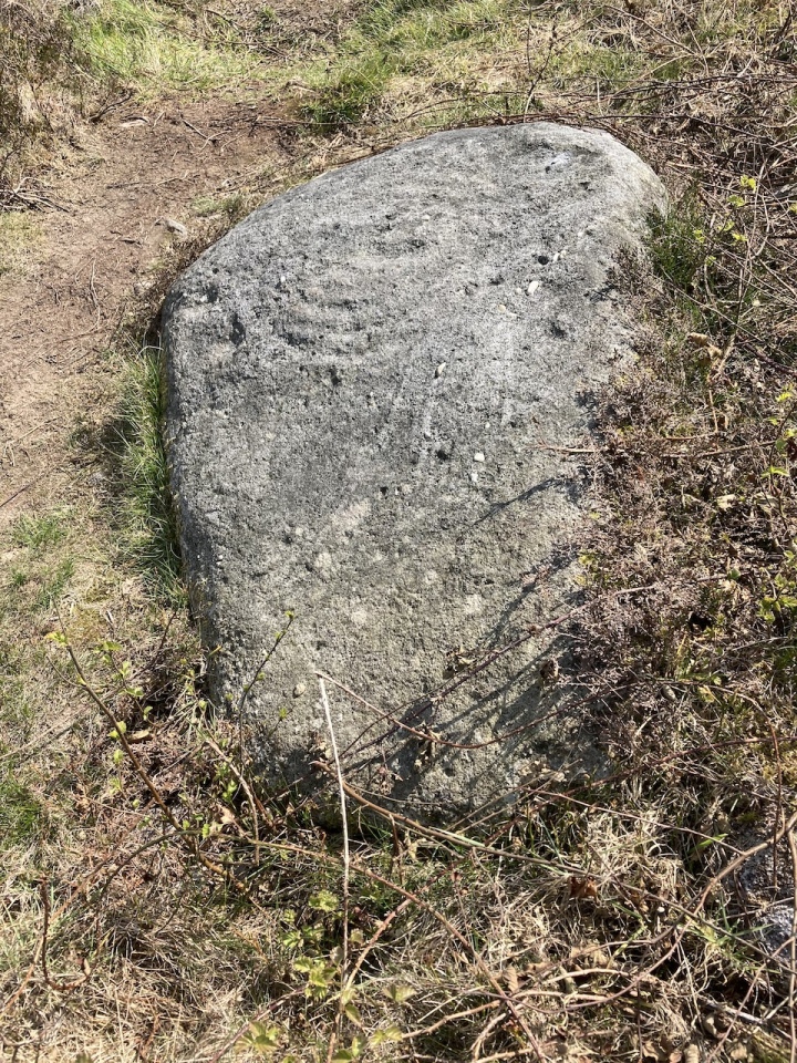 Knotties Stone (Otley Chevin)