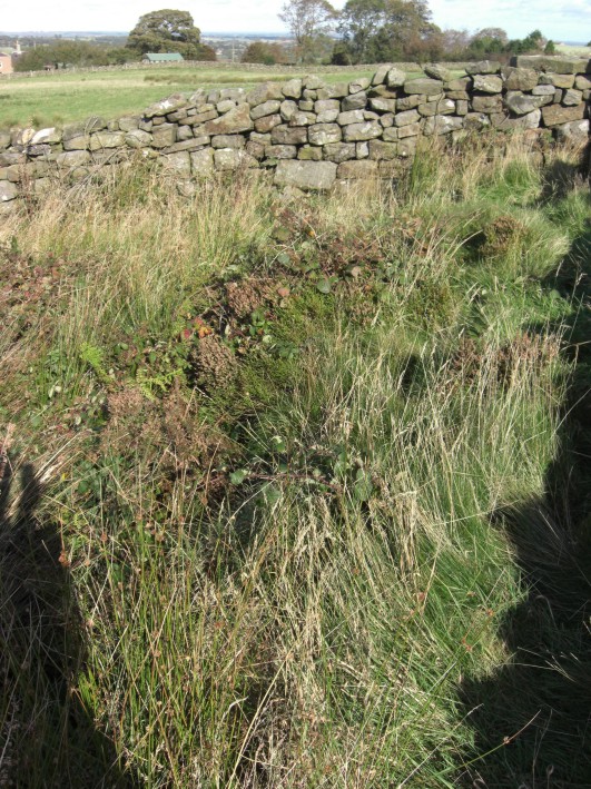 Click for the gallery page to add comments and vote (PID:43458) Skew Skell Well