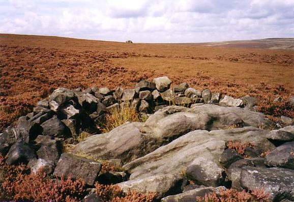 Miller's Grave