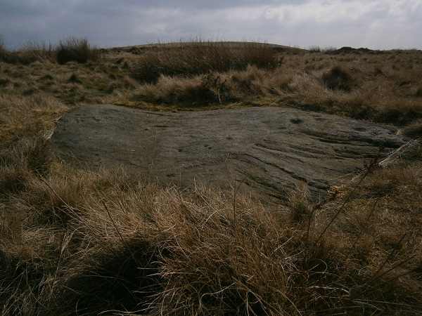 Low Plain 31