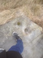 Buckstones Edge - PID:132388