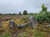 Harden Moor Ring Cairn - PID:275945