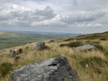 Way Stones (Moss Moor)