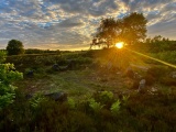 Harden Moor Cairnfield - PID:249306
