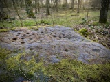 Cottingley Woods - PID:249218