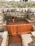 New Edge Chalybeate (Colden) - PID:224748