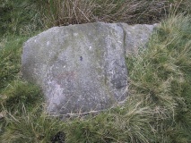 Dobrudden South 08