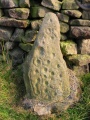 Baildon Moor (147) submitted by stu