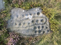 Idol Stone - PID:246290