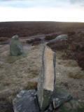 Twelve Apostles (Yorks)