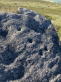 Green Crag Slack 13 - PID:228129