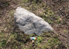 Littlestone (Bingley Moor)