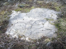 Woofa Bank 12