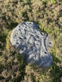 Backstone Beck 05. - PID:246291