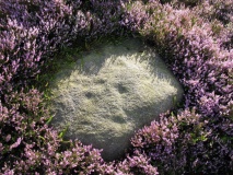 Green Crag 08