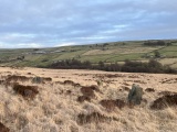 Turley Holes Edge - PID:268529