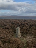 Lanshaw Lass
