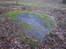 Cottingley Woods