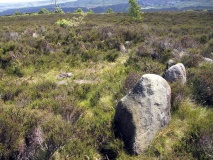 Harden Moor Ring Cairn