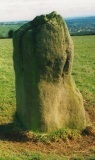Bull Stone